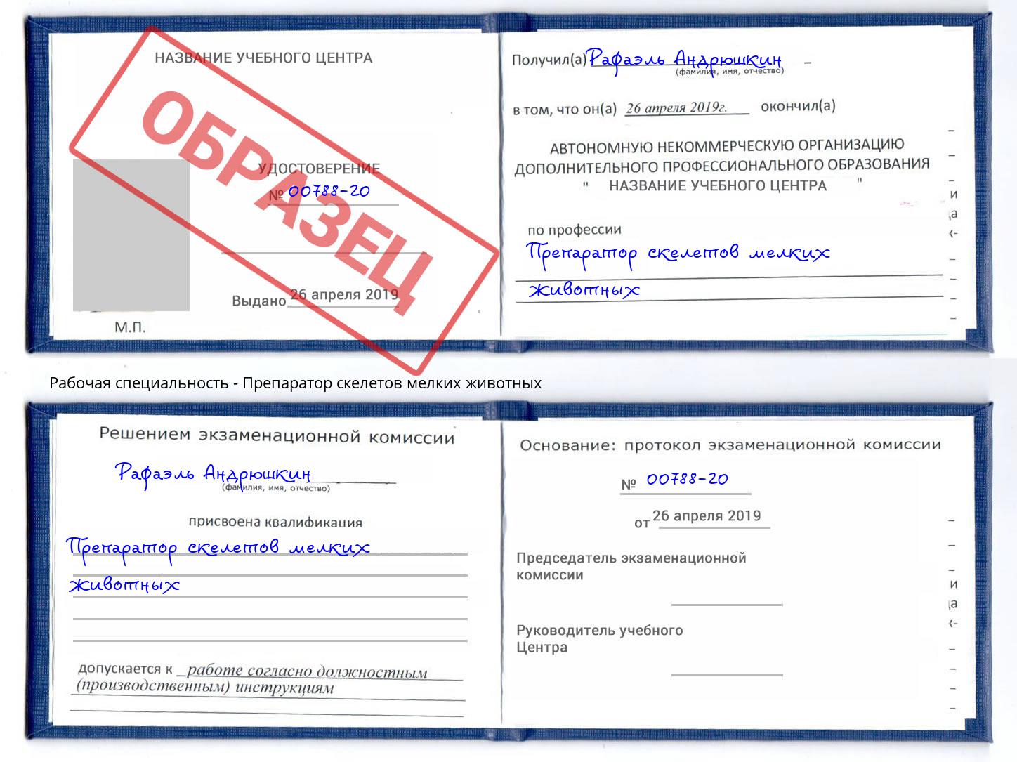 Препаратор скелетов мелких животных Ржев