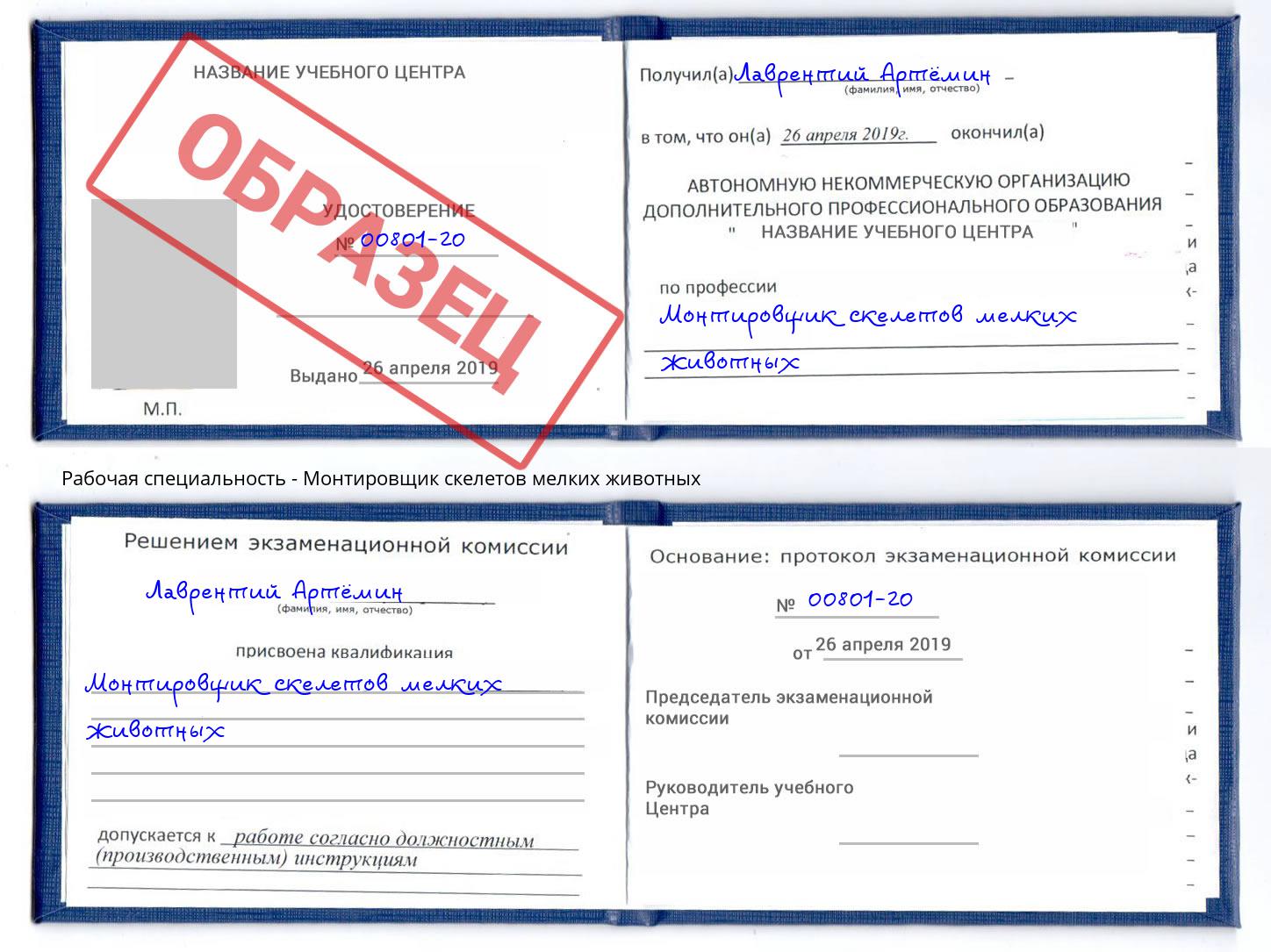 Монтировщик скелетов мелких животных Ржев