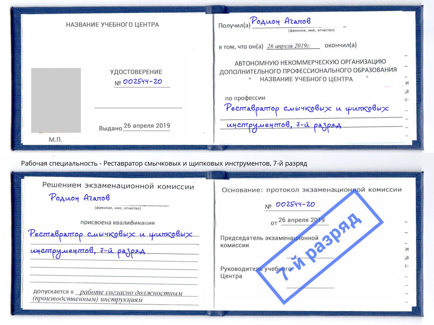 корочка 7-й разряд Реставратор смычковых и щипковых инструментов Ржев