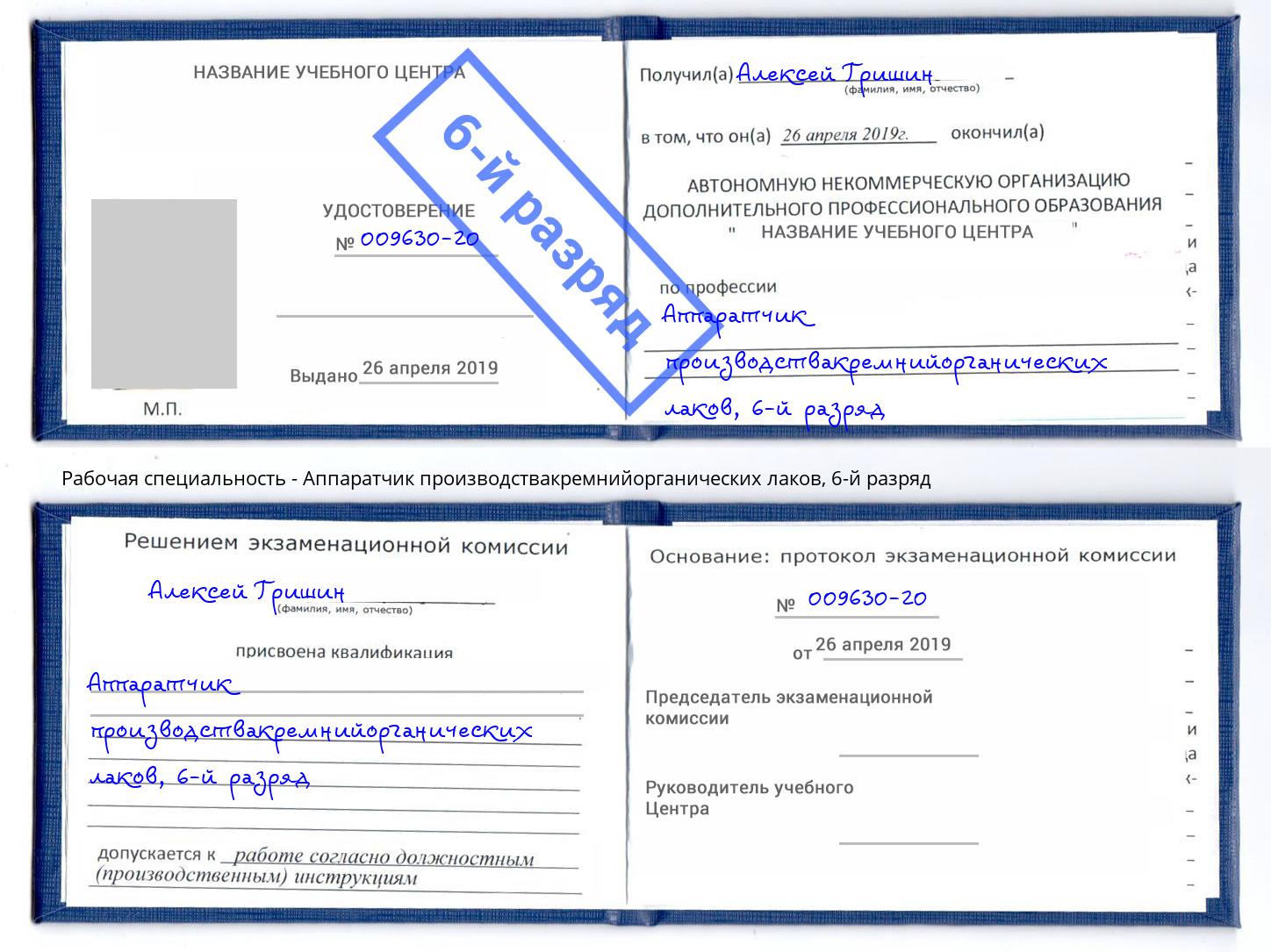 корочка 6-й разряд Аппаратчик производствакремнийорганических лаков Ржев